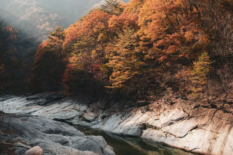 ทัวร์โพชอนไฟไหม้ ราคาลดกระหน่ำ